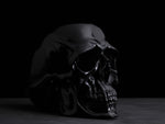 Life Size Jet Skull